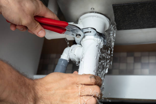 Best Local water damage restoration  in San Carlos Park, FL