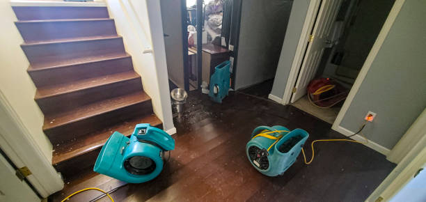  San Carlos Park, FL Water damage restoration Pros