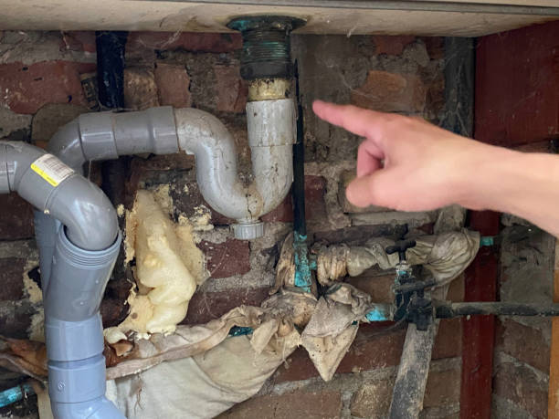 Best Flooded house restoration  in San Carlos Park, FL