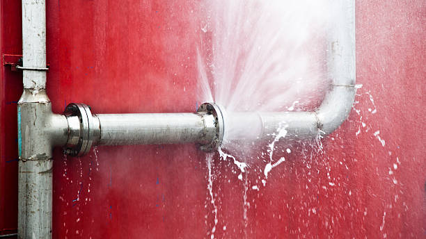 Best Carpet water damage restoration  in San Carlos Park, FL