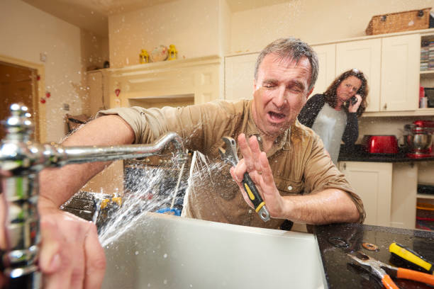 Best Fire Damage Restoration  in San Carlos Park, FL
